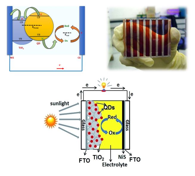 Dye-sensitized solar cells (DSSCs) and Quantum Dot sensitized solar cells